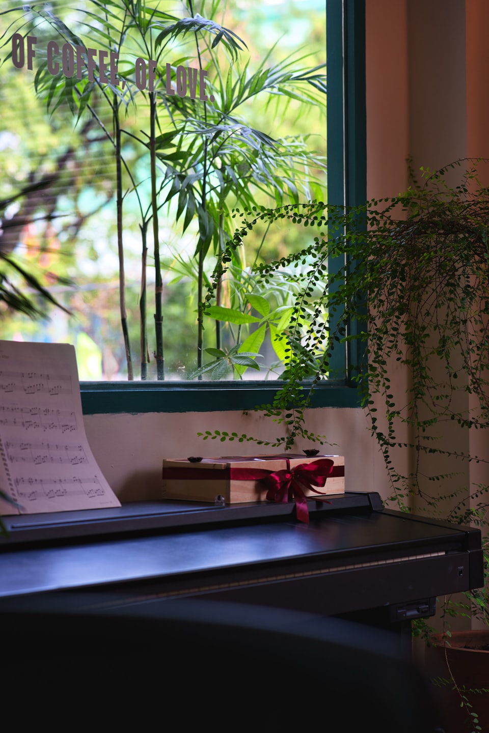 Musikgutscheine Musikschule Gereon Köln